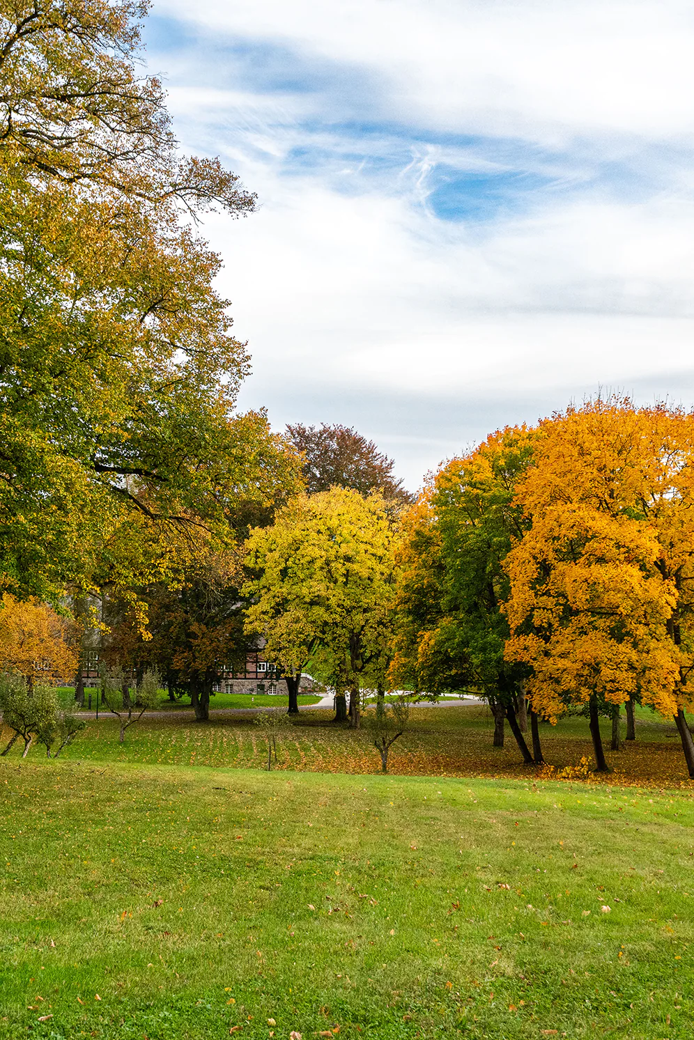 visit park am see